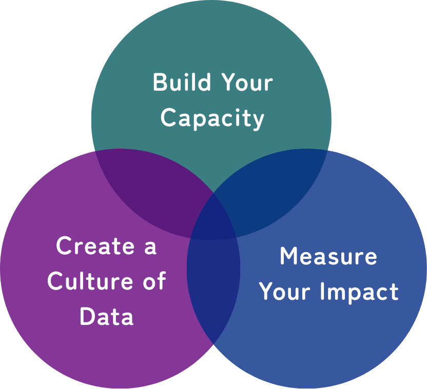 Build Your Capacity Create a Culture of Data Measure Your Impact